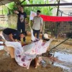 Pemuda Panca Marga Kutim Tebar Berkah Idul Adha: Wujud Solidaritas dan Gotong Royong di Tengah Masyarakat