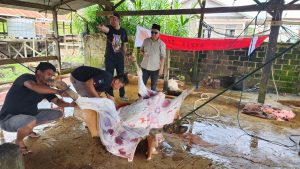 Pemuda Panca Marga Kutim Tebar Berkah Idul Adha: Wujud Solidaritas dan Gotong Royong di Tengah Masyarakat