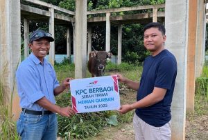 Idul Adha Penuh Makna: KPC Salurkan 67 Sapi,Wujudkan Komitmen Sosial