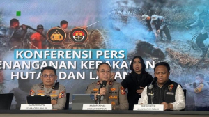 Kebakaran Hutan